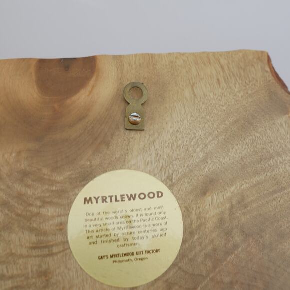 60s vintage Myrtlewood hand-painted mushroom wall décor 9” x 7” - Picture 7 of 10